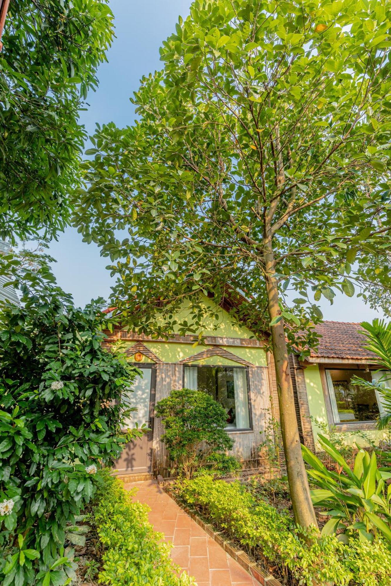 Tam Coc Green Garden Bungalow Ninh Binh Exterior photo