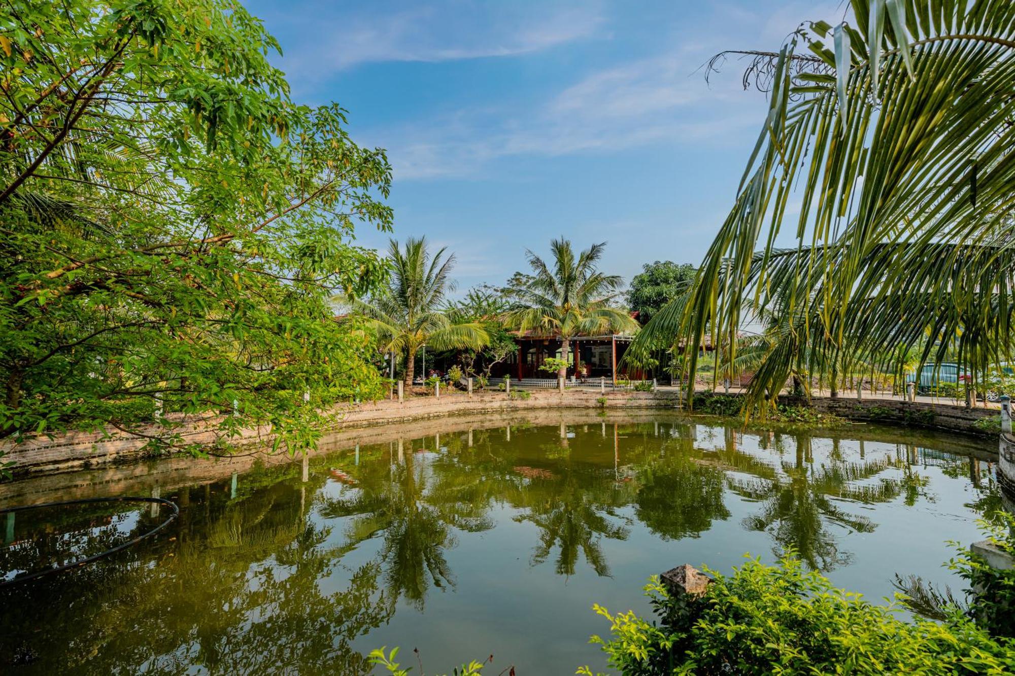 Tam Coc Green Garden Bungalow Ninh Binh Exterior photo