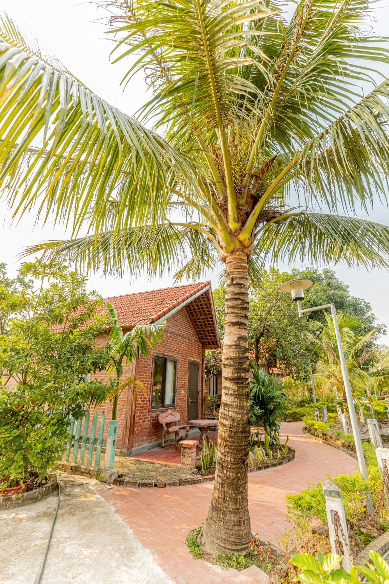 Tam Coc Green Garden Bungalow Ninh Binh Exterior photo